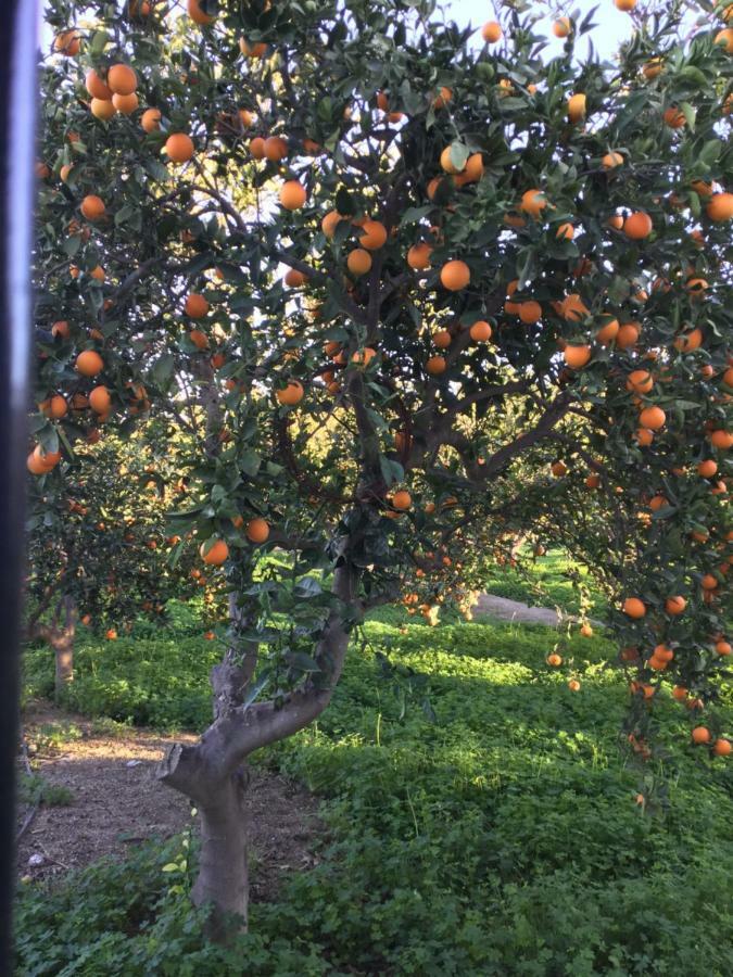 El Cortijo De La Abuela Pensionat Benahadux Exteriör bild