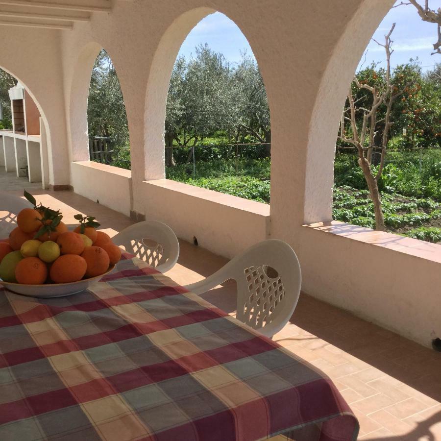 El Cortijo De La Abuela Pensionat Benahadux Exteriör bild